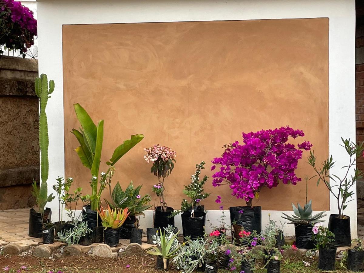 Appartements D'Hotes Marciloui Antsirabe Exteriör bild